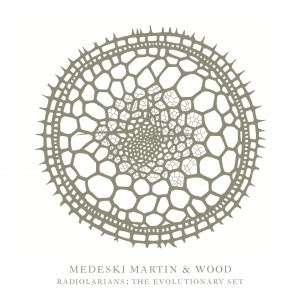 ¿Qué estáis escuchando ahora? - Página 2 Medeski+Martin+Woods+Radiolarians