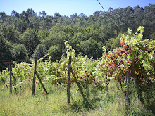 Quinta do Ermo