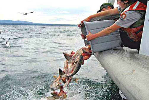 fishing conservation