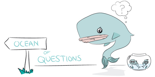 Ocean of Questions