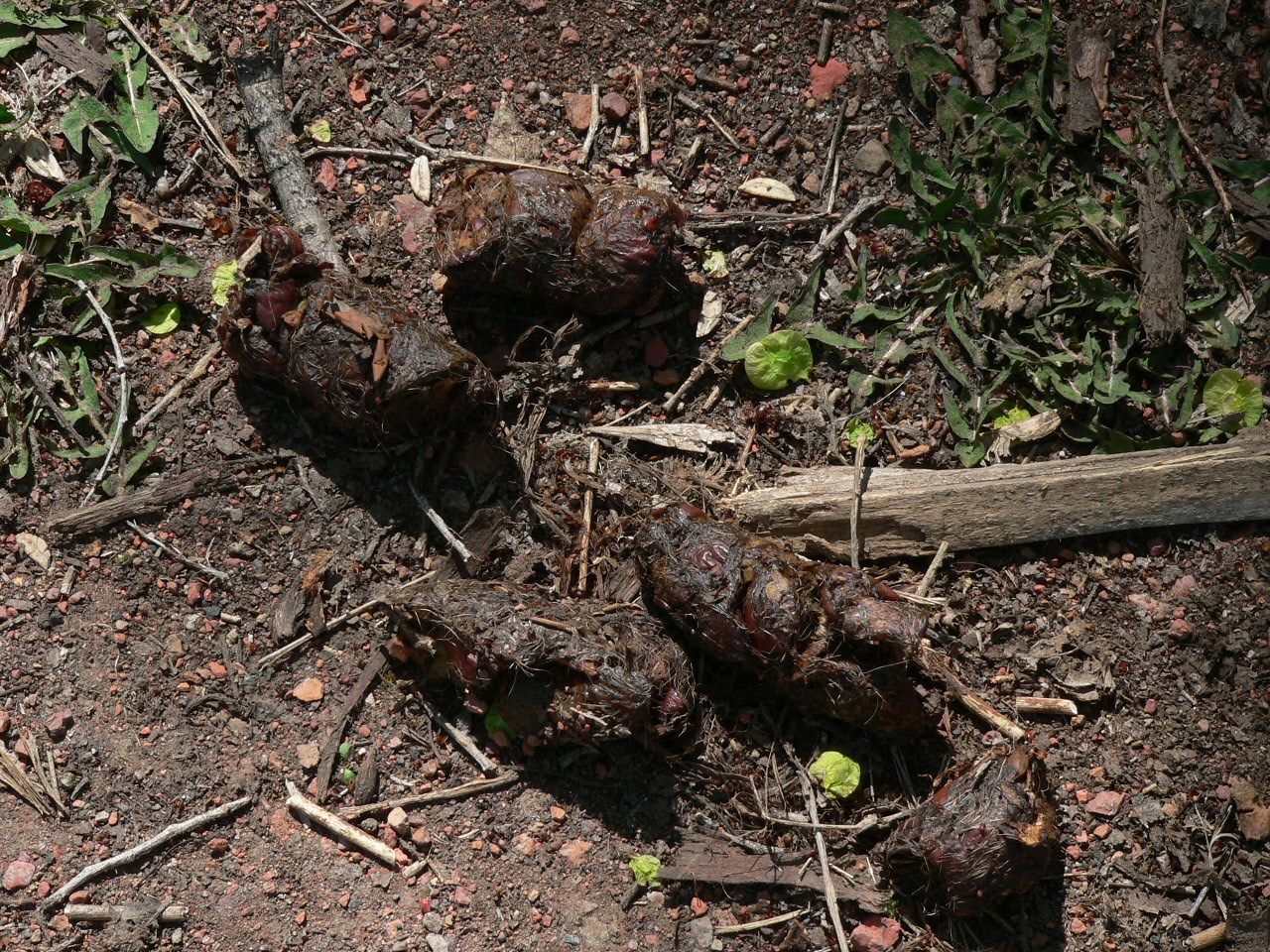 [P1110107.JPG]