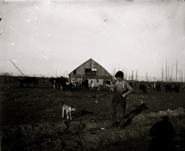[0604000985-l.jpg]