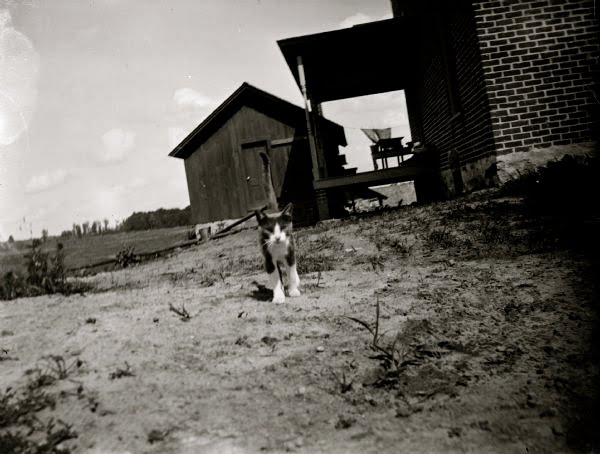[0604000977-l.jpg]