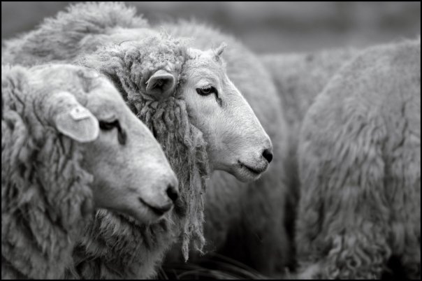 [n1290194999_307614_1279660-1.jpg]