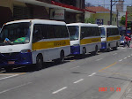 Transporte Escolar Magnumbus