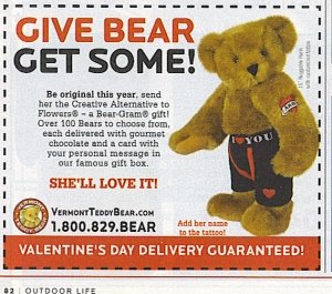 [valentinebear.bmp]