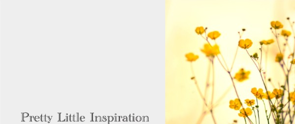 [Pretty Little Inspiration]