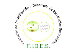 Fundación FIDES