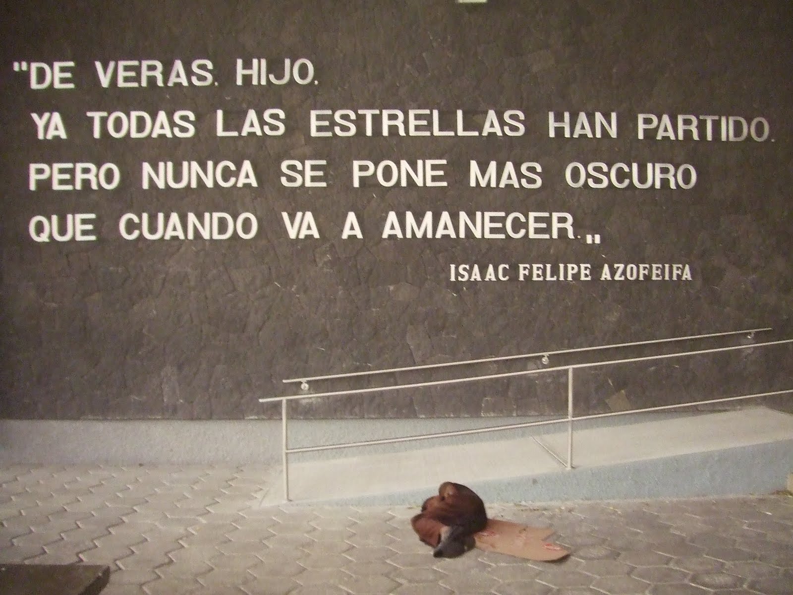 The Bird's Word - San Jose, Costa Rica: Hope & Metamorphosis in San