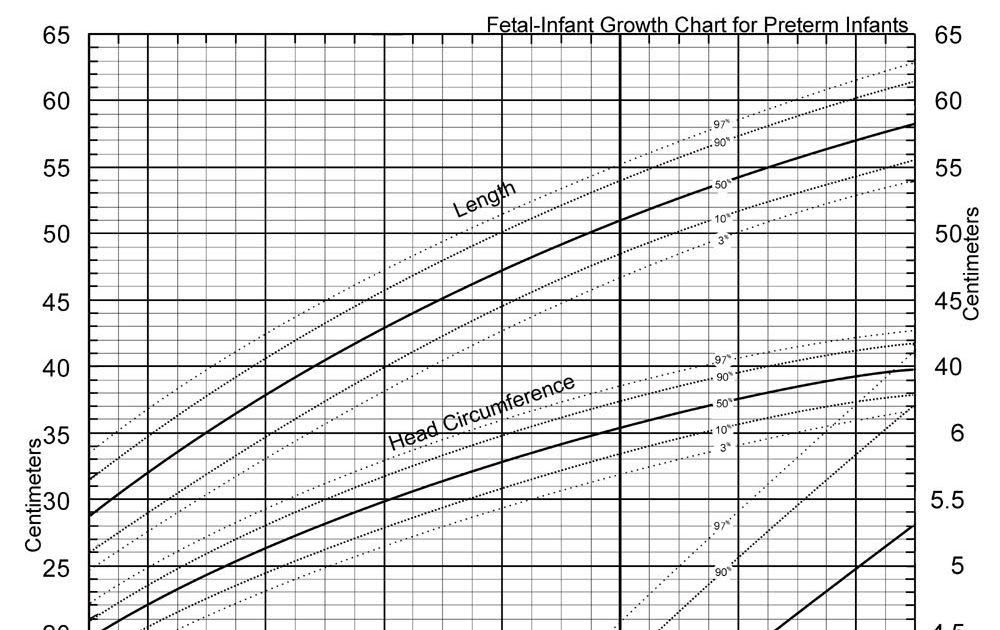 Whippet Growth Chart