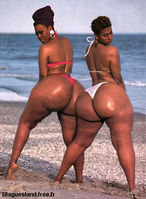 [Gros_derrieres.jpg]