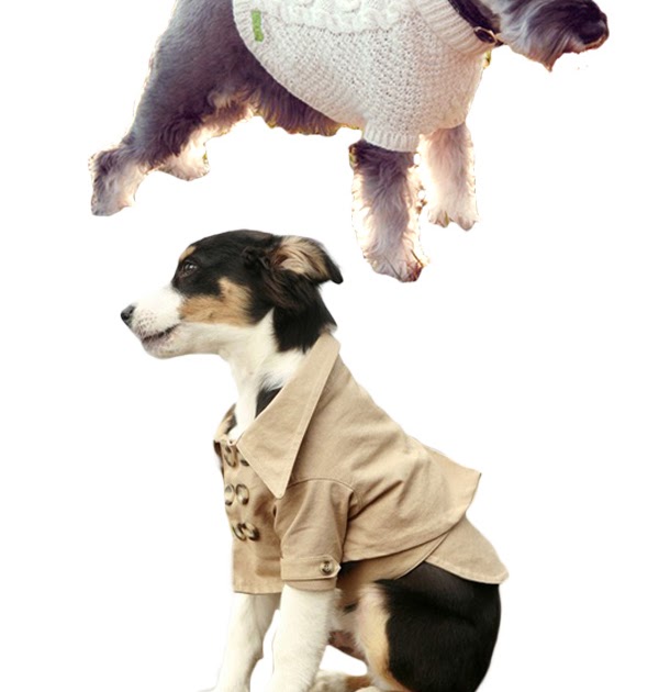 nu massage doggy style nu massage doggy style