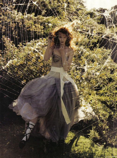 tom walker photography