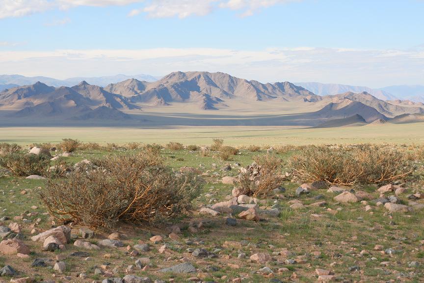 [landscape.JPG]