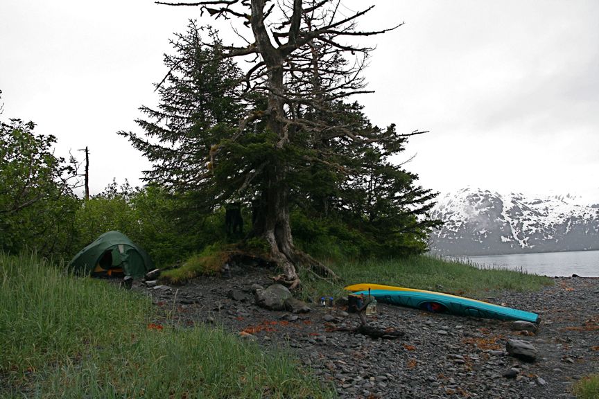 [IMG_3728.jpg]