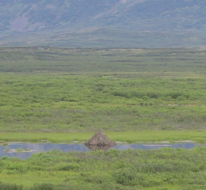 [IMG_0092_cropped.jpg]