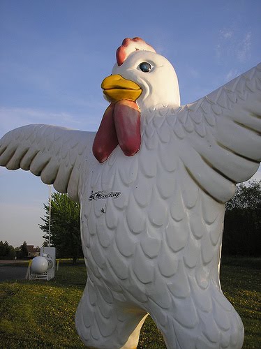 caw and chicken