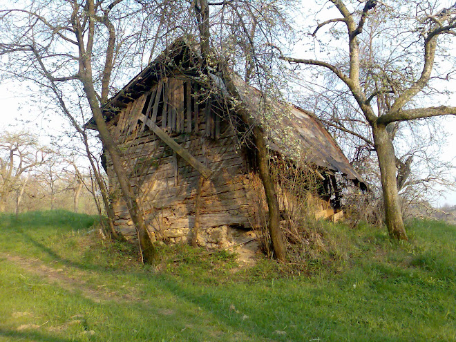 o cabana veche folosida drept adapos de ploaie