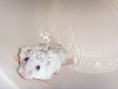irrit showering