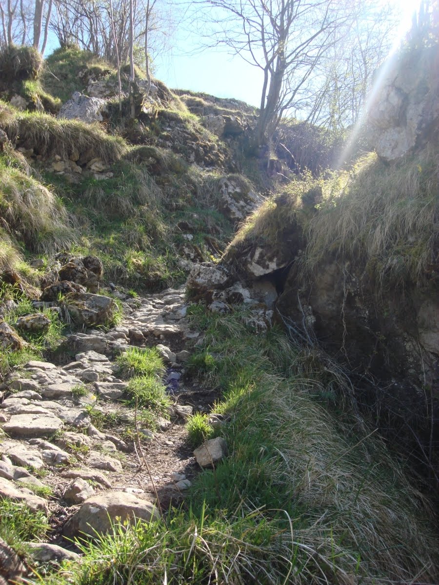 [DSC03715+[Desktop+Resolution].JPG]