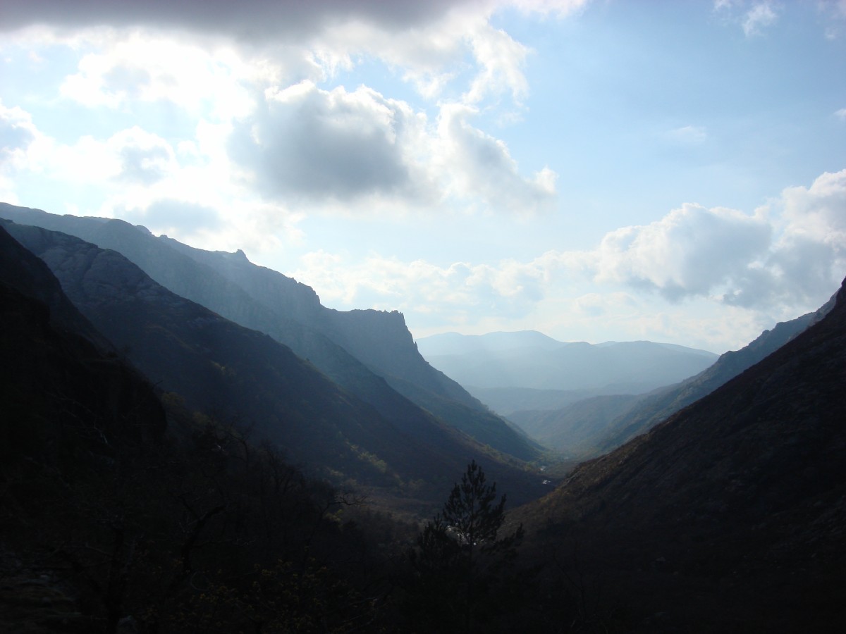 [DSC01430+[Desktop+Resolution].JPG]