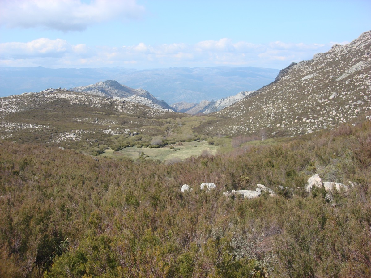 [DSC01357+[Desktop+Resolution].JPG]