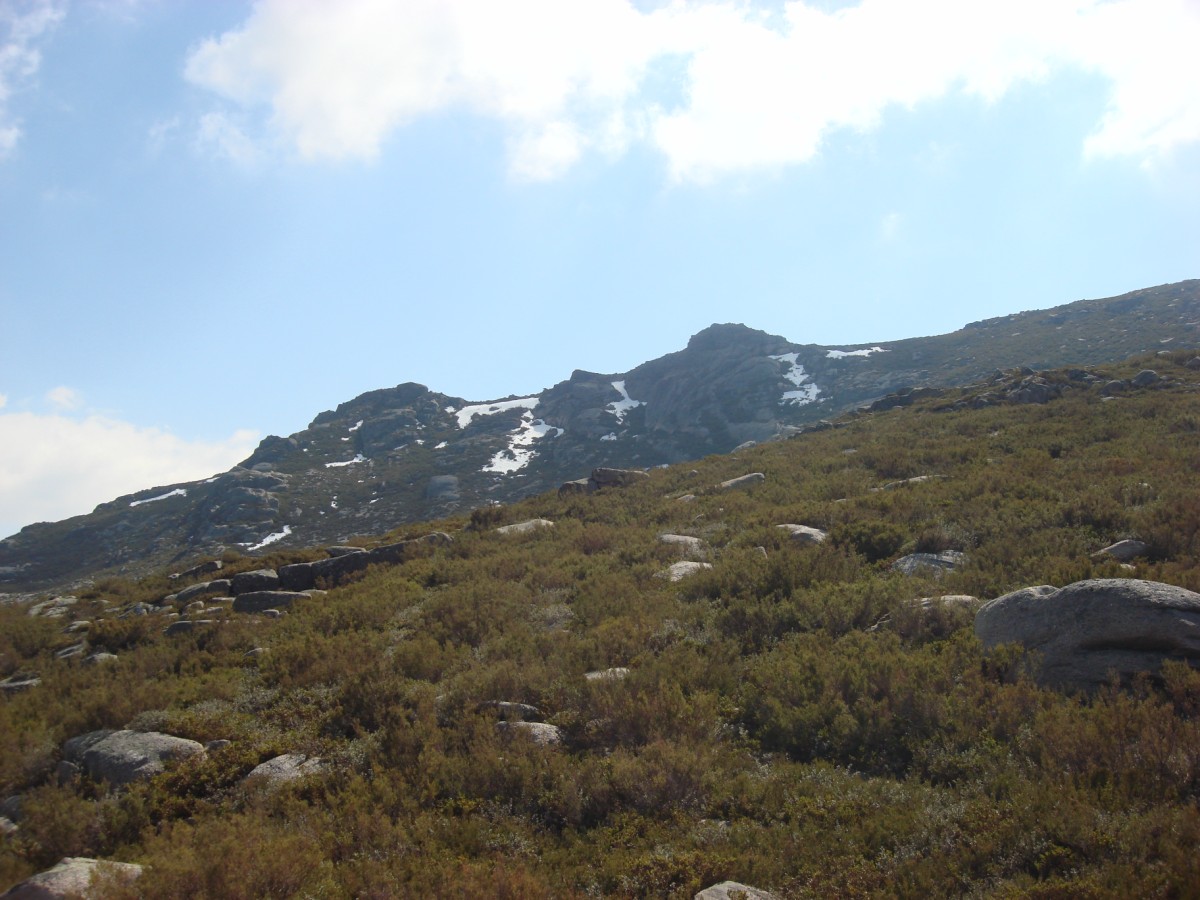 [DSC01347+[Desktop+Resolution].JPG]