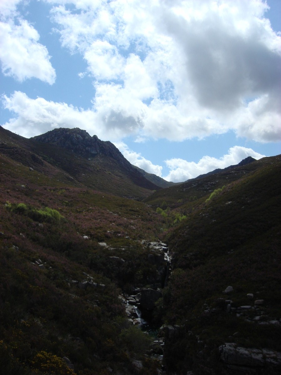 [DSC01307+[Desktop+Resolution].JPG]