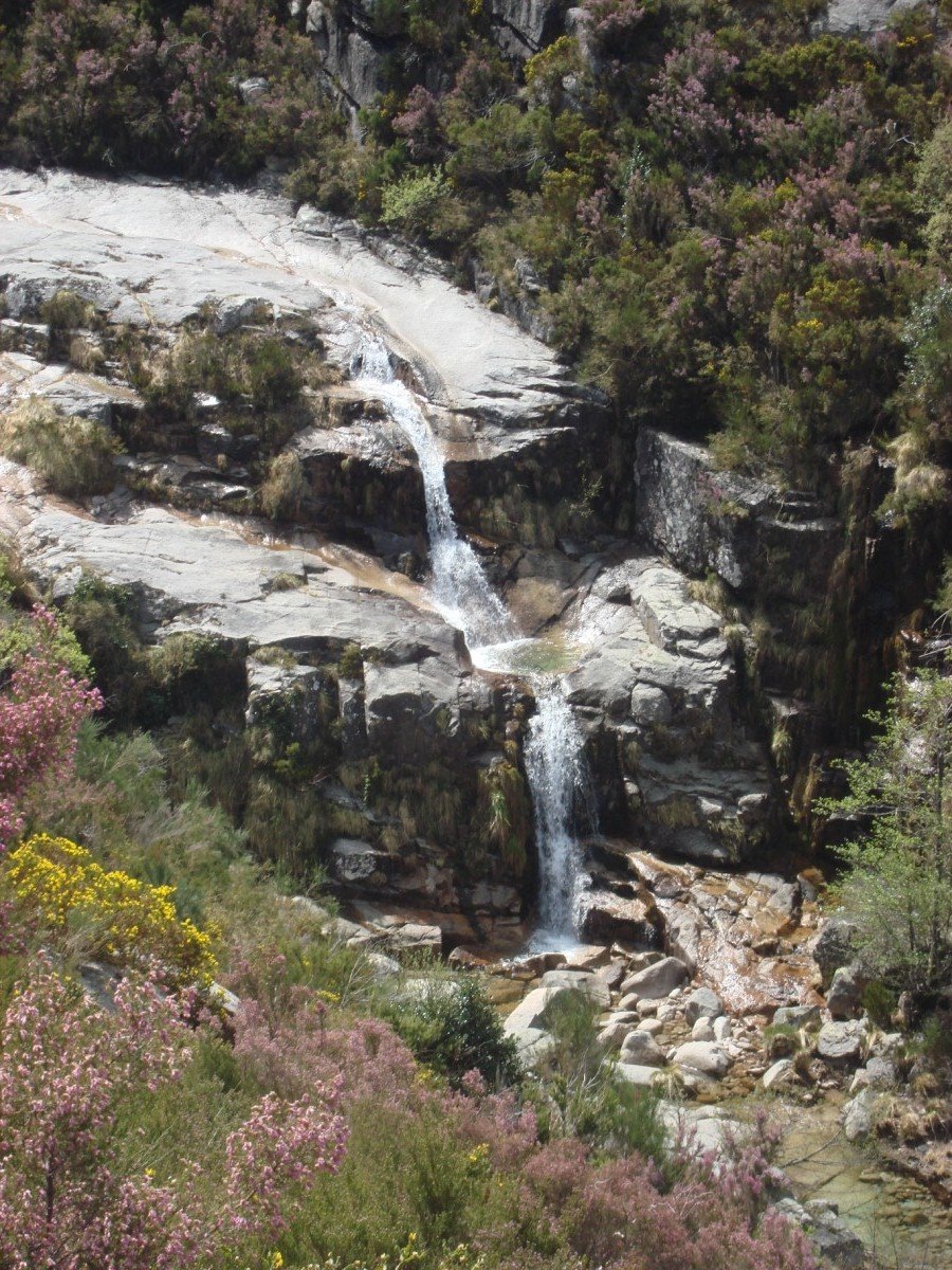 [DSC01300+[Desktop+Resolution].JPG]