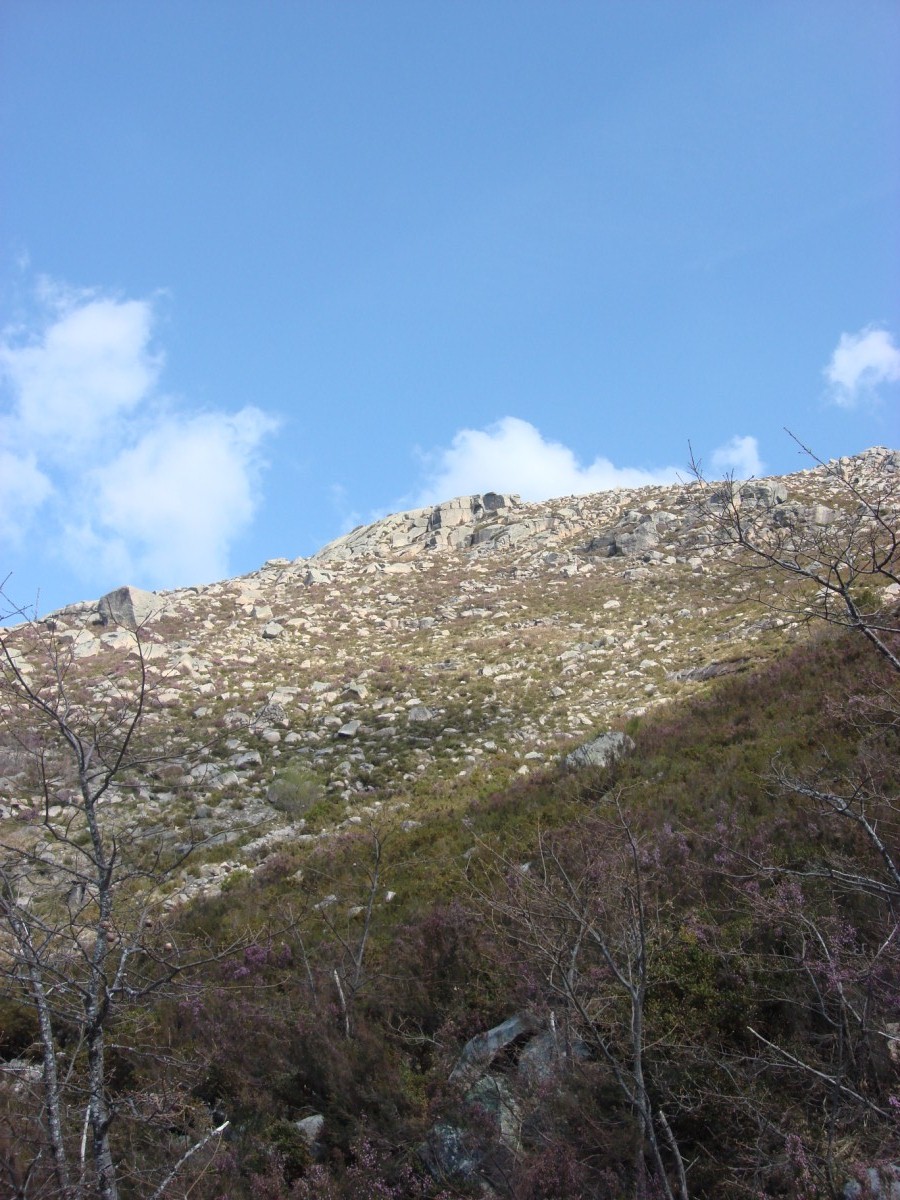 [DSC01335+[Desktop+Resolution].JPG]