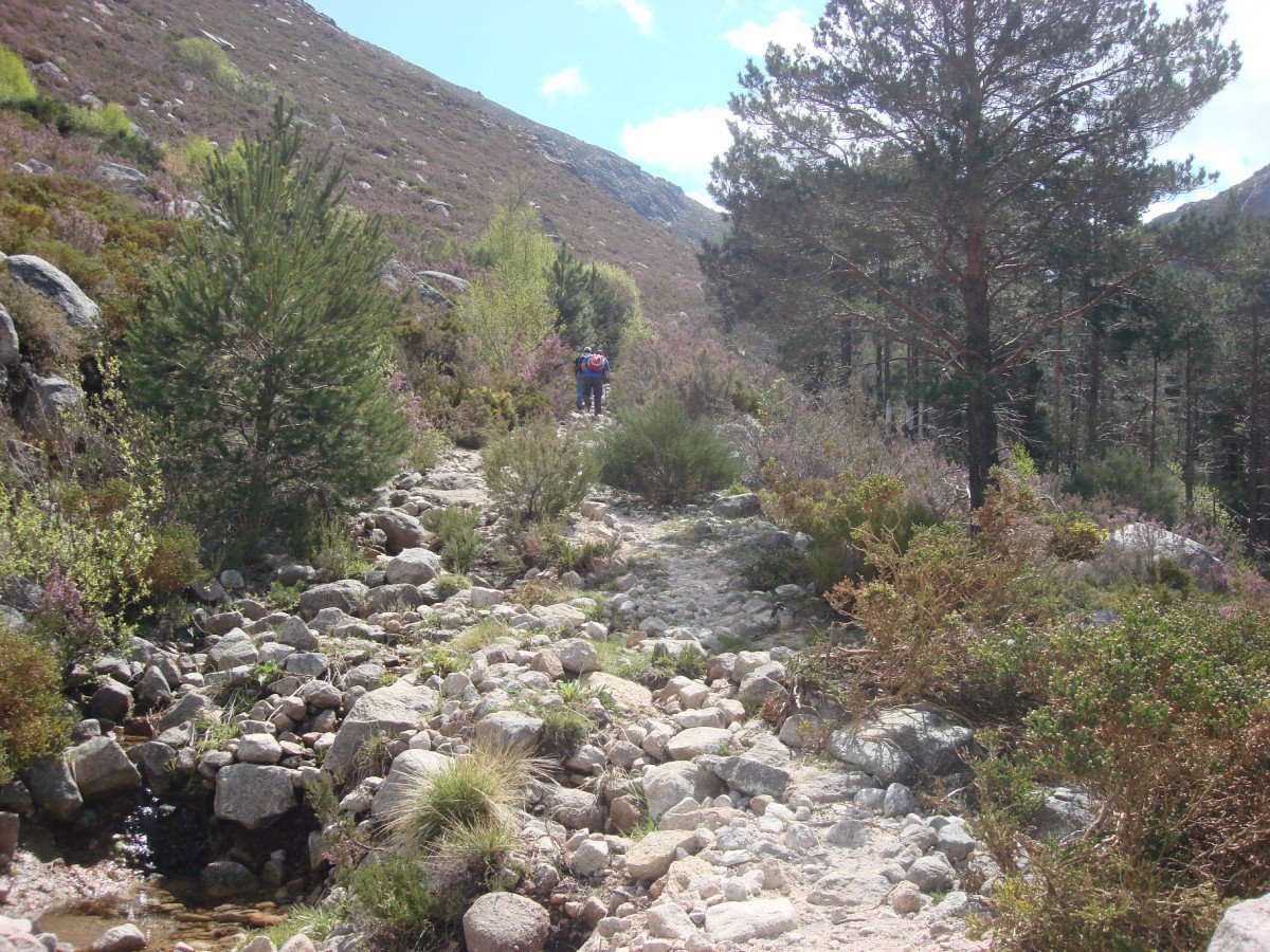 [DSC01323+[Desktop+Resolution].JPG]