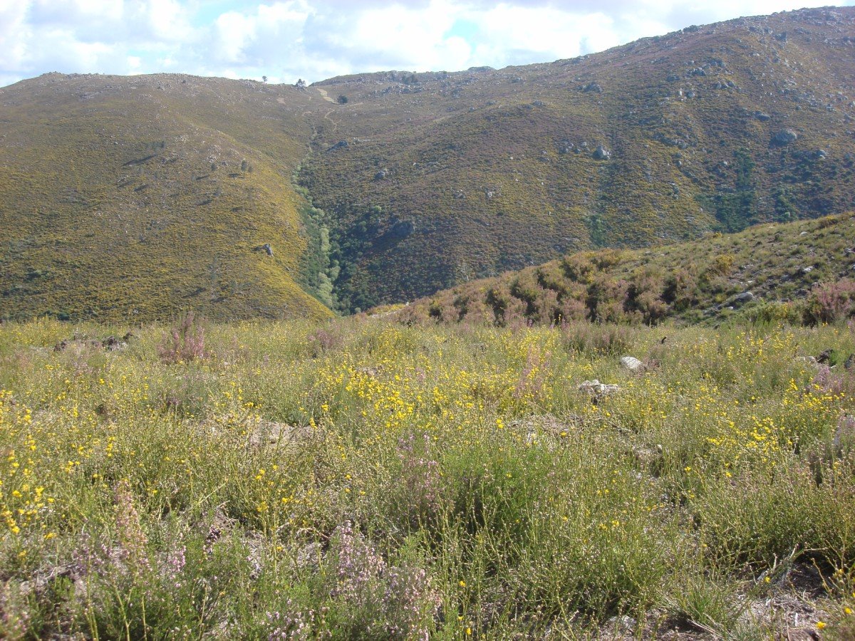 [DSC01255+[Desktop+Resolution].JPG]