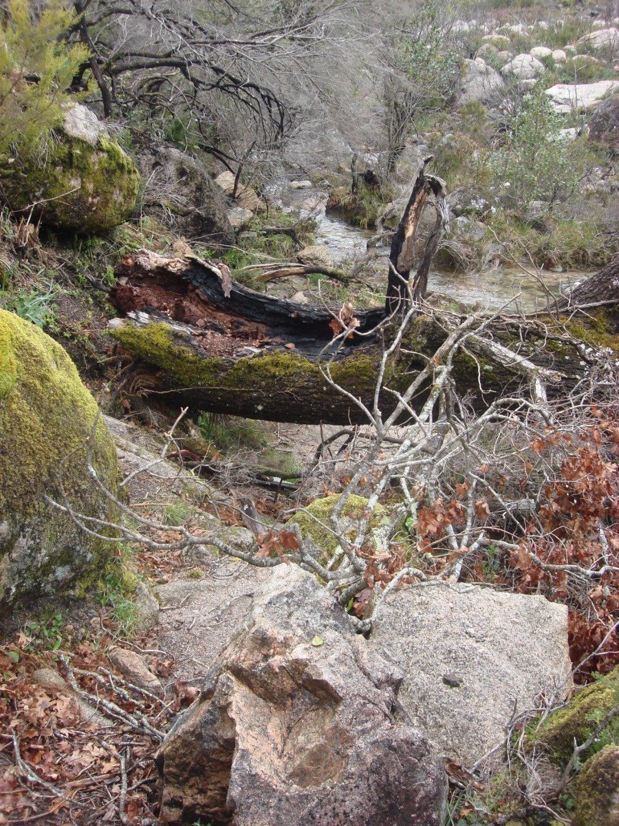 [DSC02850+[Desktop+Resolution].JPG]