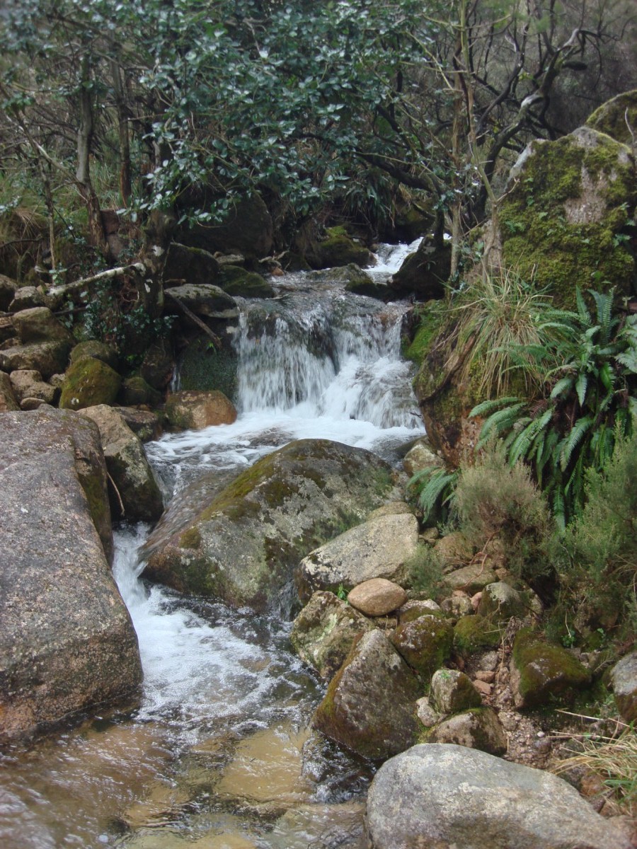 [DSC02804+[Desktop+Resolution].JPG]