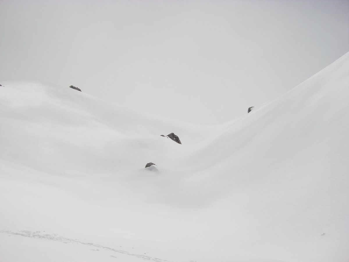 [DSC03384+[Desktop+Resolution].JPG]