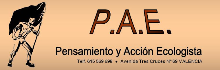 http://3.bp.blogspot.com/_RyMprJSOU7U/Snrxu3zDPII/AAAAAAAAAMg/l6fM2n75FEI/S760/cabe.JPG