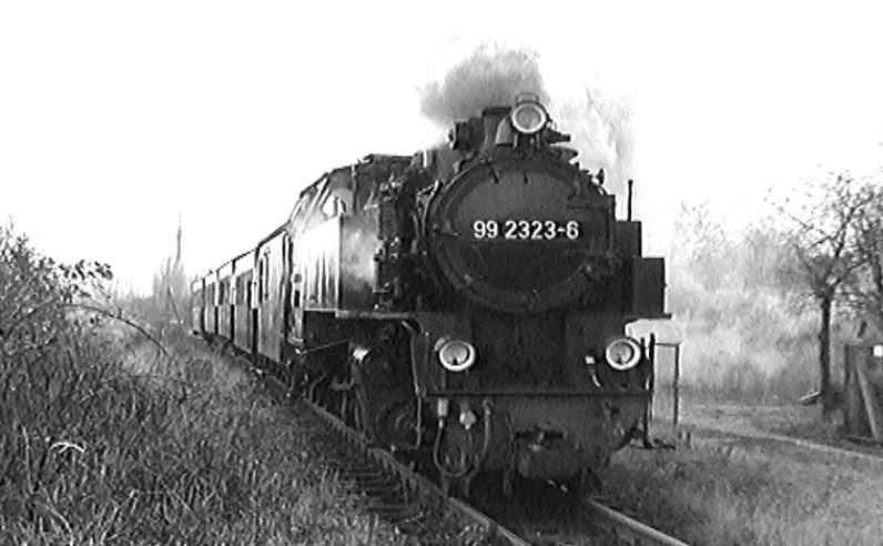 [Image3.gif]