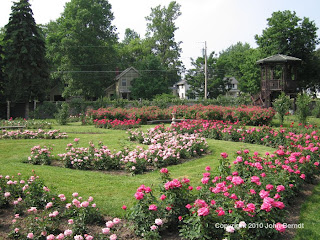Sonnenberg Gardens - The Rose Garden