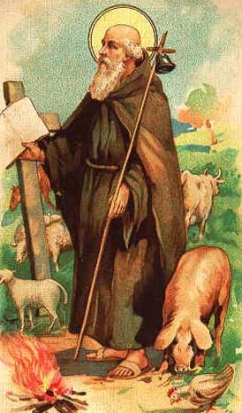 La signora Lucia, Sant’Antonio e un po’ di bestie.