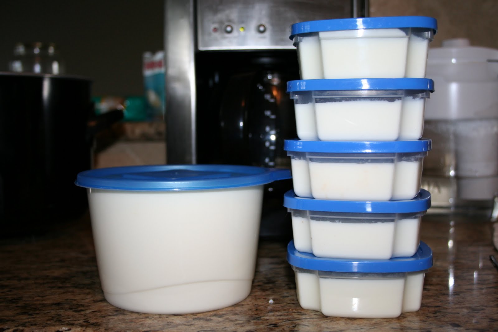 Makin' it Mo' Betta i grow (good) bacteria (Homemade Yogurt)