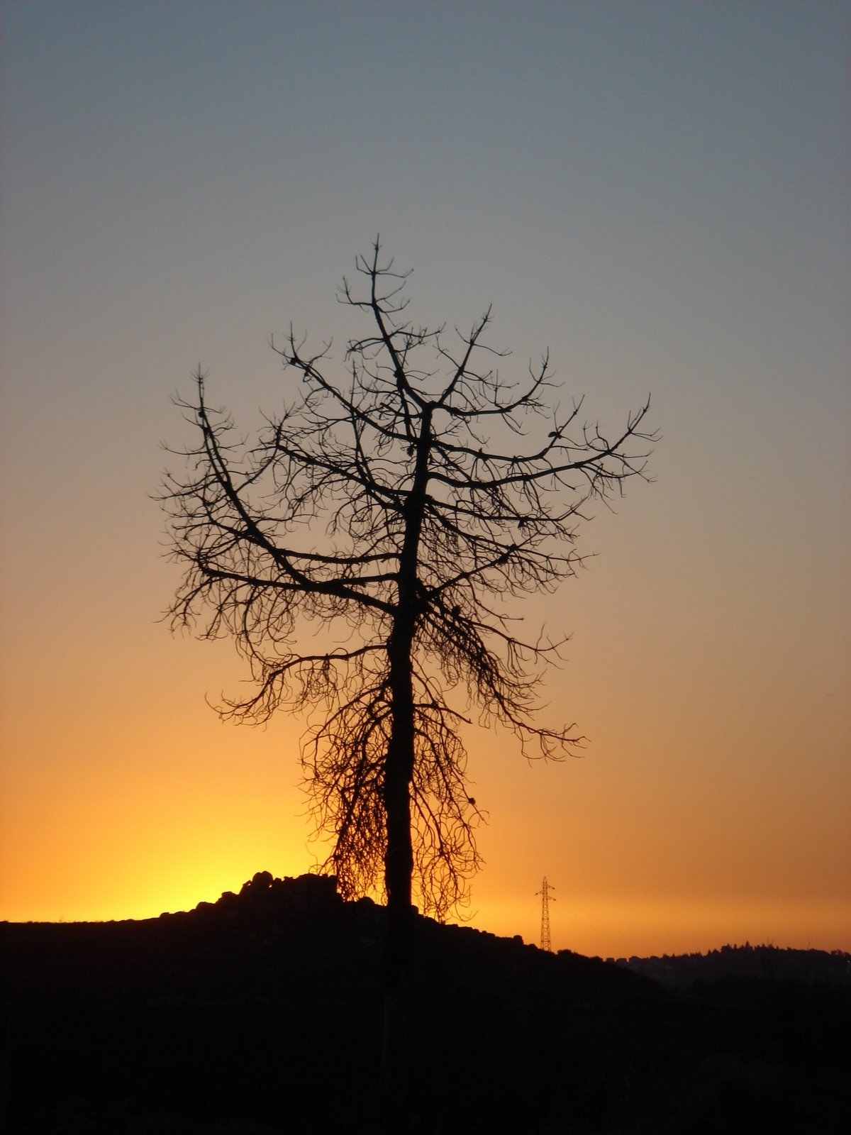 [DSC01641.JPG]