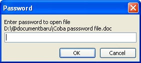 Password saat buka file word