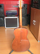 Roderich Peasold 6-string