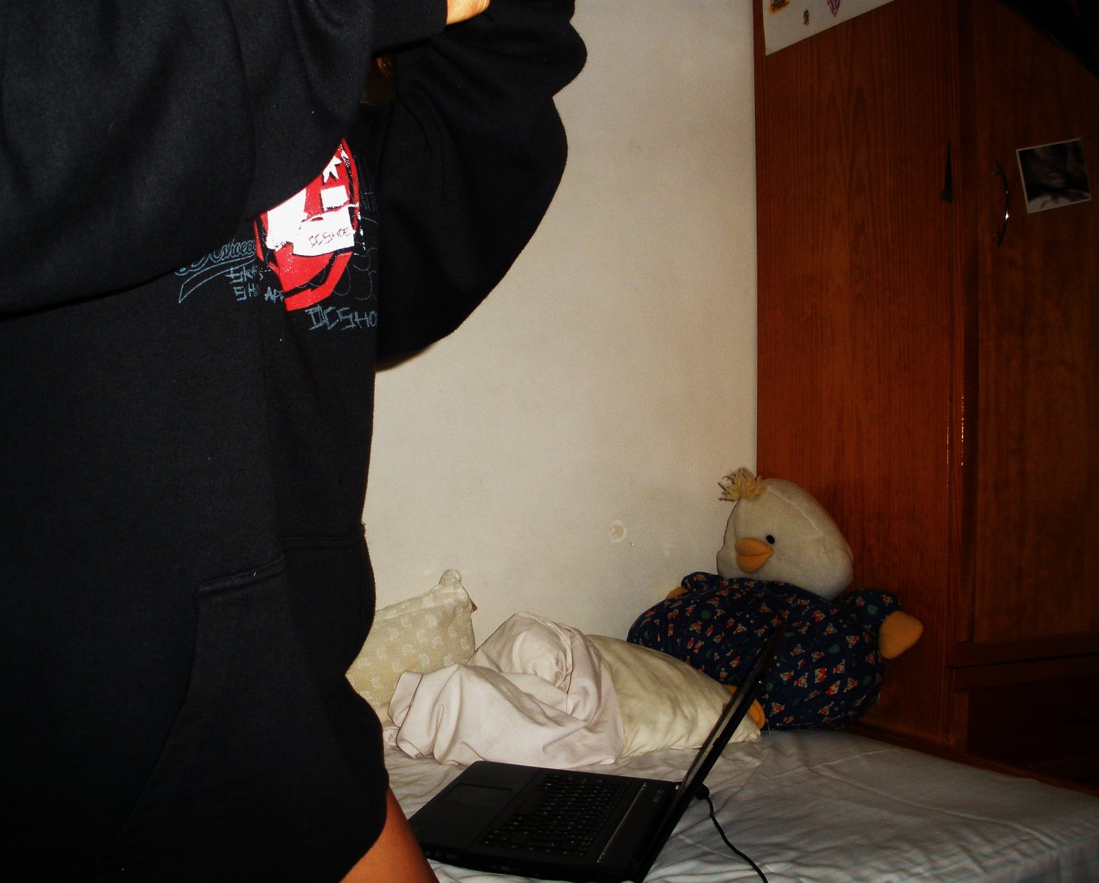 [P6240340+-+Cópia.JPG]