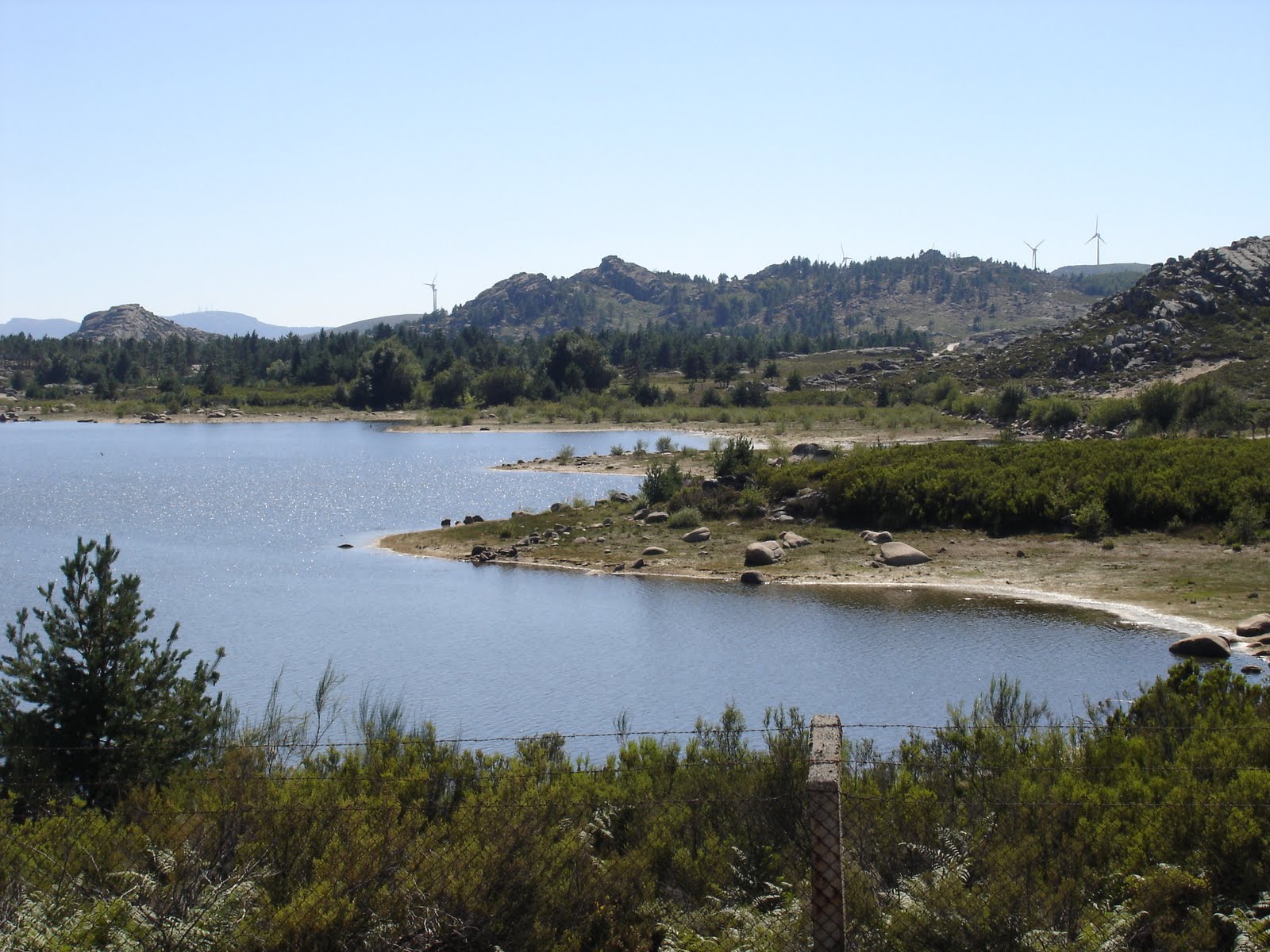 [DSC05983.JPG]