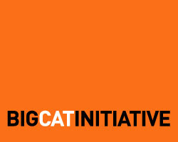 Big Cats Initiative