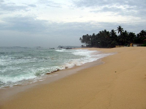 [beach.jpg]