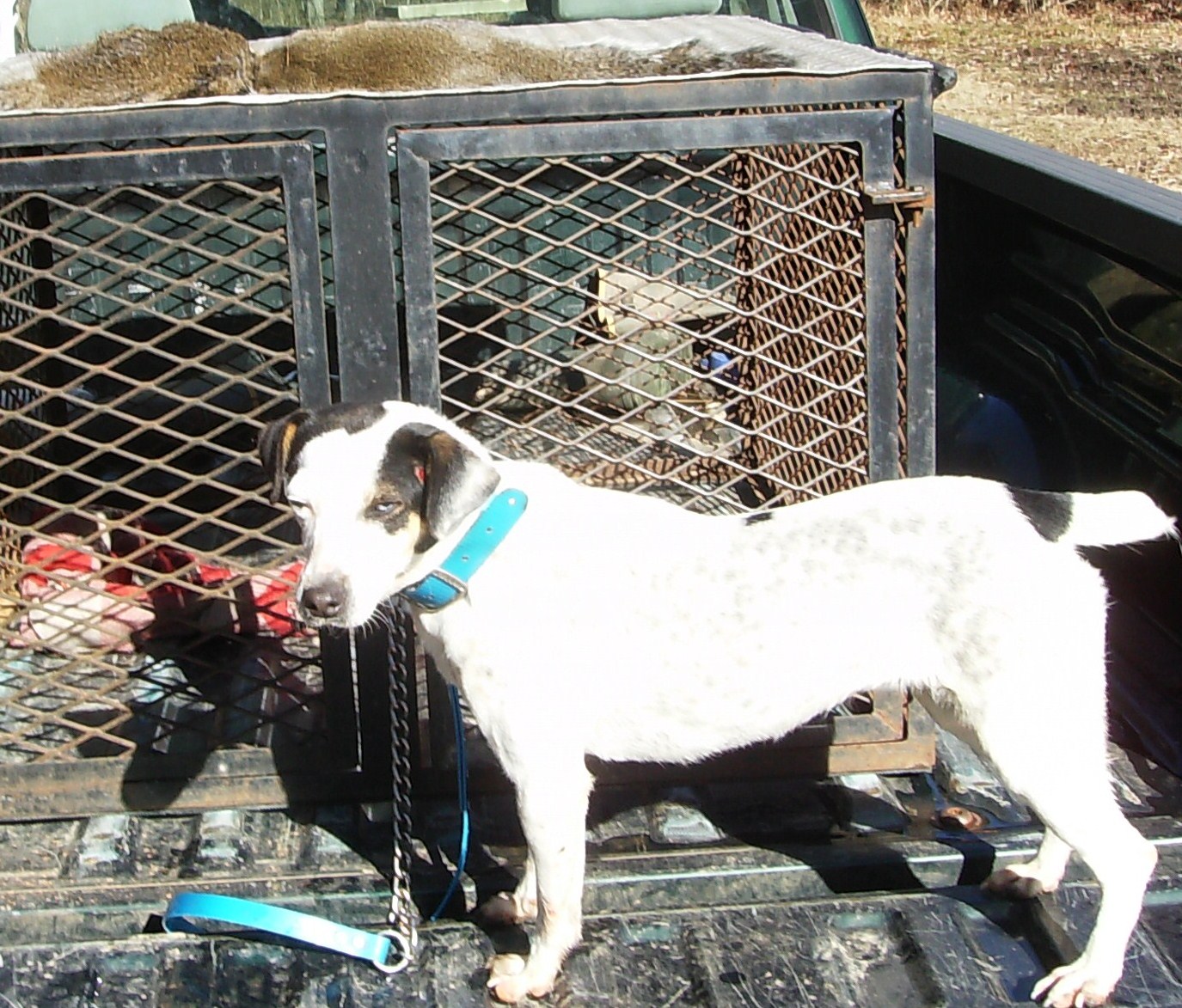 [snickers+1-1-10+002.JPG]