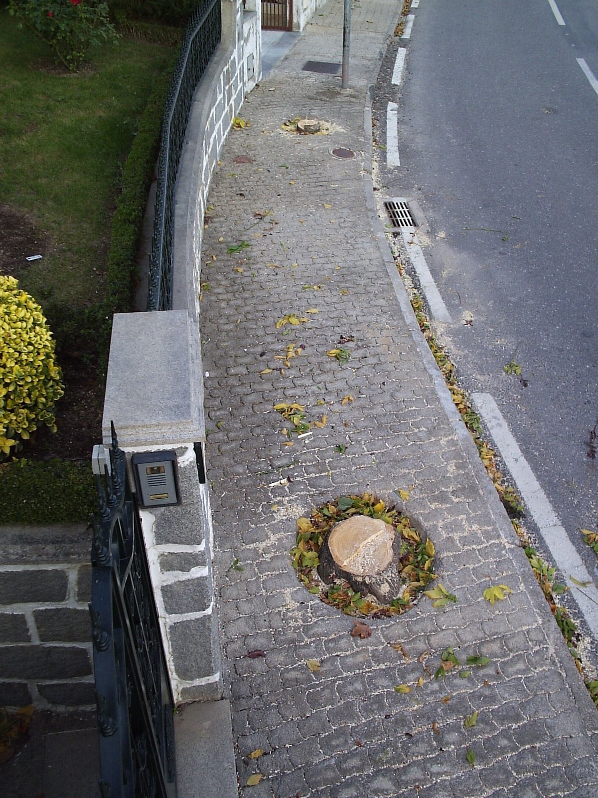 [P4040005.JPG]