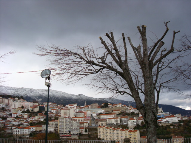 [DSC01894.JPG]